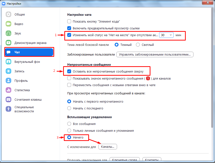 Как его включить настройки. Настройки чата. Чат в зуме. Настройки в зуме. Сообщение в чате.